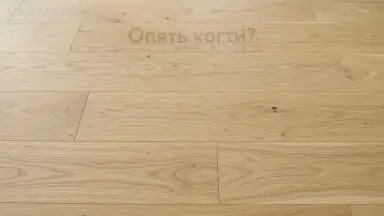Видео: Паркетная доска Focus Floor Smart Ясень Натурал 3П
