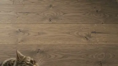 Видео: Паркетная доска Focus Floor Smart Дуб Вельвет масло браш 3П