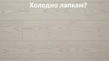 Видео: Паркетная доска Tarkett коллекция Salsa Art Ясень White Canvas DG