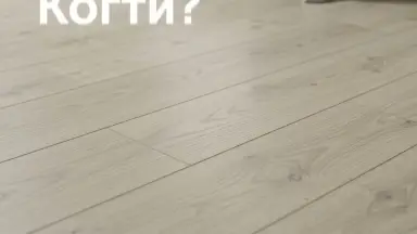 Видео: Ламинат CliX Floor коллекция Plus Extra Дуб Селект CPE4066