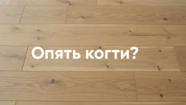 Видео: Паркетная доска Polarwood Дуб Ливинг белый матовый трехполосный