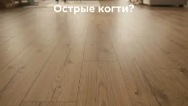 Видео: Ламинат Ever Sense EL2190 Дуб Турин