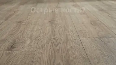 Видео: Ламинат Kronotex коллекция Amazone Дуб Монтмело Серебряный D 3662