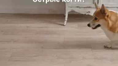 Видео: Виниловый пол Vinilam коллекция VinilPol Дуб Мира 8844-EIR