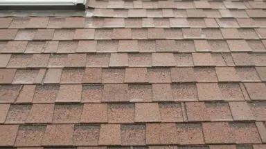 Видео: Гибкая битумная черепица TOSCANA terracotta 406 TEGOLA (BUSINESS), 2.9 кв.м