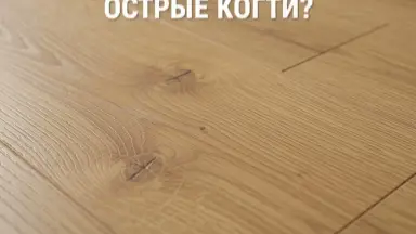 Видео: Ламинат Alsapan коллекция Solid Plus Дуб Балеарский 622W