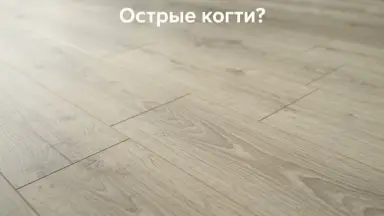 Видео: Ламинат Alsapan коллекция Solid Plus Дуб Майорка 628