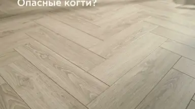Видео: Ламинат Alsapan коллекция Creativ Дуб Полярный 627 W