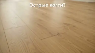 Видео: Ламинат Alsapan коллекция Osmoze Дуб Пралин 535