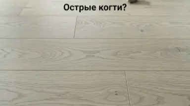 Видео: Инженерная доска Kraft Parkett Дуб Рустик 150х15 мм Арт. 37