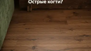 Видео: Виниловый пол Vinilam коллекция VINILAM Click Дуб Норден 8861