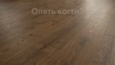 Видео: Виниловый пол Vinilam коллекция VINILAM Cork Дуб Турне 10-038