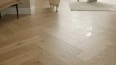 Видео: Кварцвиниловая плитка Invictus коллекция Maximus DryBack Parquet 39 Highland Oak Canyon