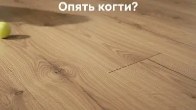 Видео: Ламинат KronParket коллекция Premium 3304 Дуб Эвкалипт