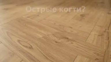 Видео: Ламинат KronParket коллекция Premium 3612 Дуб Лангсат темный