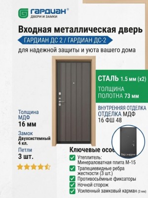 Входная металлическая дверь ДС 2  16 ФШ 48