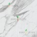 Виниловый пол Damy Floor коллекция Ascent Strong Эверест / Everest Strong SPC