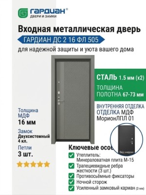 Входная металлическая дверь ДС 2  16 ФЛ 505