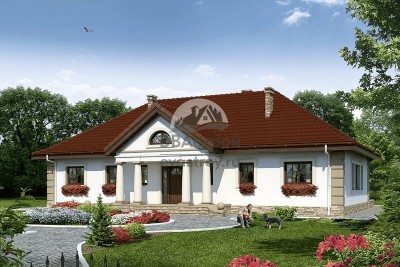 104-28  -  проект европейского узкого одноэтажного дома с камином