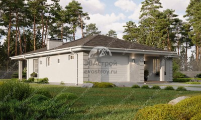 Проект жилого одноэтажного дома с гаражом