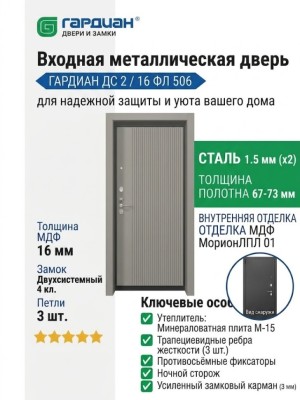 Входная металлическая дверь ДС 2  16 ФЛ 506