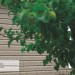 Сайдинг Ю-Пласт TIMBERBLOCK Пихта (Тимберблок) Cахалинская