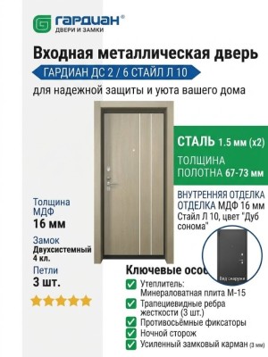 Входная металлическая дверь ДС 2  6 Стайл Л 10