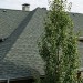 Гибкая битумная черепица CORTINA verde 475 TEGOLA (COMFORT), 2.29 кв.м